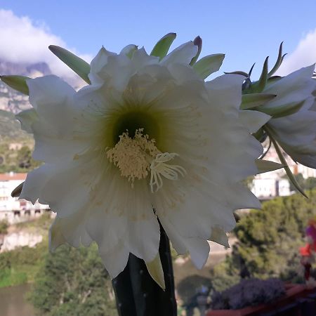 Monistrol de MontserratPiso Con Desayuno Incluido Y Vistas A La Montana.公寓 外观 照片